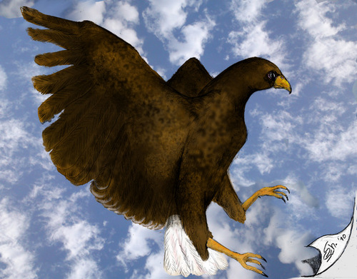 Cartoon: Adler (medium) by swenson tagged adler,vogel,bird,eagl,sky,animal,warbird,raubvogel,tier,animals