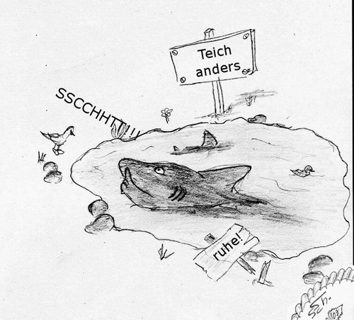 Cartoon: Hai-lauer 9 (medium) by swenson tagged hai,animal,animals,shark