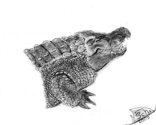 Cartoon: Krokodil (medium) by swenson tagged animals,animal,reptil,krokodil