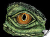 Cartoon: Eye of Iguana - 3 (small) by swenson tagged eye reptil dragon drache echse animals