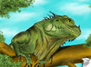Cartoon: Grisu (small) by swenson tagged tier animal animals reptil reptilien echse dragon iguana