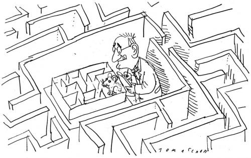 Cartoon: Labyrinthe (medium) by Jan Tomaschoff tagged labyrinth