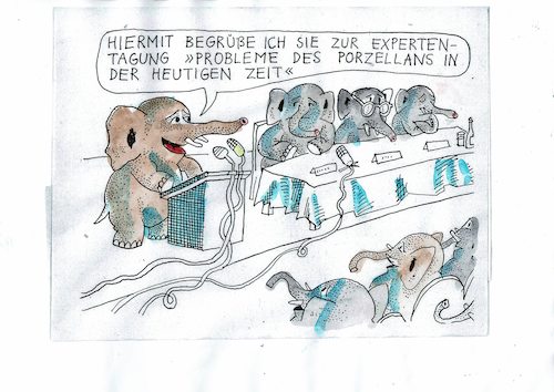Cartoon: Porzellan (medium) by Jan Tomaschoff tagged experten,experten