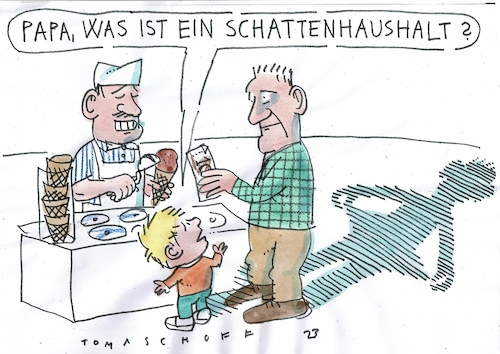 Schattenhaushalt