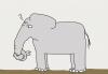 Cartoon: Alter Elefant (small) by nele andresen tagged elefantengedächtnis,altern,