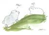 Cartoon: Nö! (small) by nele andresen tagged schaf