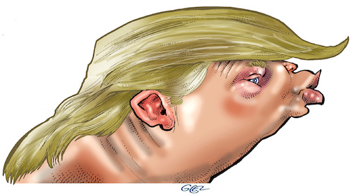 Cartoon: Donald Trump (medium) by Damien Glez tagged donald,trump,politician,politics,united,states,america,president,donald,trump,politician,politics,united,states,america,president