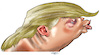 Cartoon: Donald Trump (small) by Damien Glez tagged donald,trump,politician,politics,united,states,america,president