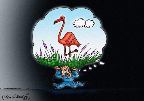 Cartoon: Hundreds of baby flamingos died (medium) by halisdokgoz tagged hundreds,of,baby,flamingos,died,in,salt,lake