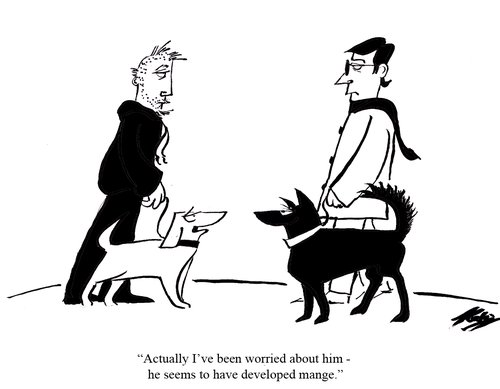 Cartoon: Hello Benjy (medium) by pinkhalf tagged man,dog,animal,pets,friend