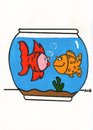 Cartoon: love fish (small) by claude292 tagged fish