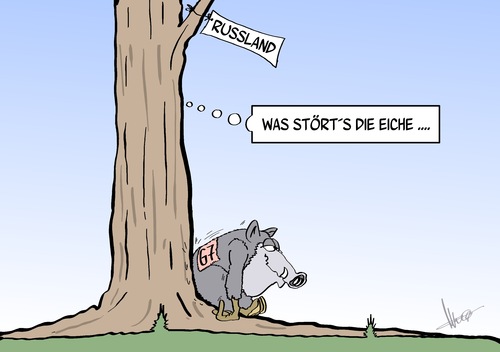 die Eiche