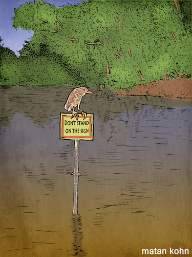 Cartoon: Dont stand on the sign (medium) by matan_kohn tagged illustration,sign,bird,funny,art,water,drawing,digitalart