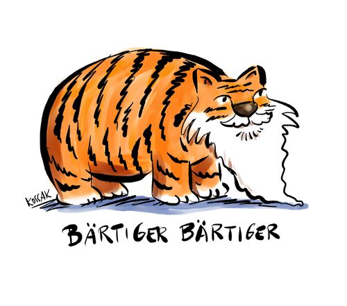 Bärtiger Bärtiger