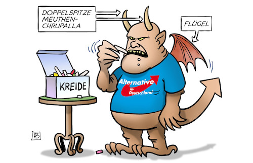 AfD-Spitze