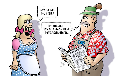 CSU-Werte