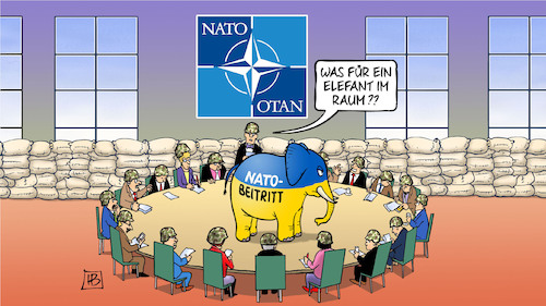 Cartoon: Elefant im Raum (medium) by Harm Bengen tagged gipfel,verteidigungsminister,elefant,raum,nato,beitritt,russland,ukraine,krieg,harm,bengen,cartoon,karikatur,gipfel,verteidigungsminister,elefant,raum,nato,beitritt,russland,ukraine,krieg,harm,bengen,cartoon,karikatur