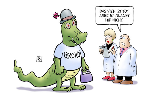 Groko-Diagnose