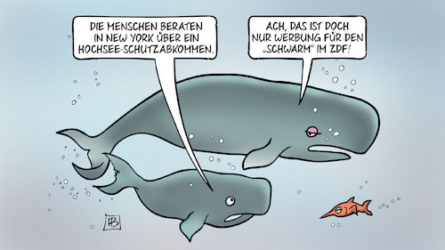 Cartoon: Hochsee-Schutzabkommen (medium) by Harm Bengen tagged uno,new,york,hochsee,schutzabkommen,wale,werbung,schwarm,zdf,meeresschutz,harm,bengen,cartoon,karikatur,uno,new,york,hochsee,schutzabkommen,wale,werbung,schwarm,zdf,meeresschutz,harm,bengen,cartoon,karikatur