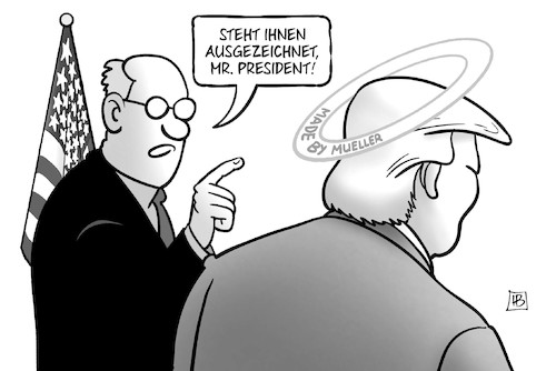Mueller-Schein