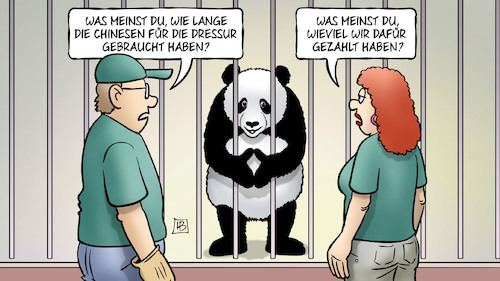 Cartoon: Panda-Staatsakt (medium) by Harm Bengen tagged panda,staatsakt,merkel,xi,deutschland,china,berlin,zoo,chinesen,dressur,geld,harm,bengen,cartoon,karikatur,panda,staatsakt,merkel,xi,deutschland,china,berlin,zoo,chinesen,dressur,geld,harm,bengen,cartoon,karikatur