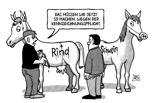 Pferde-Kennzeichnung Pferde-Kennzeichnung