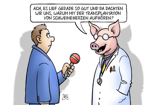 Schweineherzen