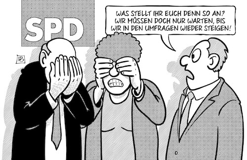 SPD und Umfragen