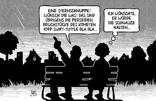 Sternschnuppe Sternschnuppe