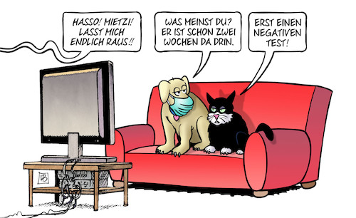 Cartoon: Tiere mit Corona anstecken (medium) by Harm Bengen tagged hasso,mietzi,hund,katze,kater,sofa,corona,quarantäne,test,mensch,anstecken,ansteckung,infektion,harm,bengen,cartoon,karikatur,hasso,mietzi,hund,katze,kater,sofa,corona,quarantäne,test,mensch,anstecken,ansteckung,infektion,harm,bengen,cartoon,karikatur