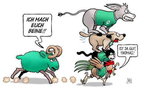 Werder unter Schaaf