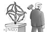 Nato und Truppenabzug