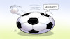 Cartoon: WM-Ende (small) by Harm Bengen tagged geschafft wm weltmeisterschaft fussball ende harm bengen cartoon karikatur