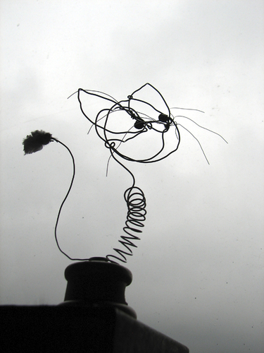 Cartoon: cat wire (medium) by nootoon tagged cat,kitten,katze,nootoon,ilmenau,draht,wire