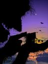 Cartoon: giant (small) by nootoon tagged silhouette,tales,kids,children,escape,flucht,nootoon,giant,riese,kinder