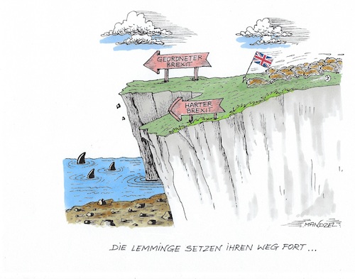 Cartoon: Brexit (medium) by mandzel tagged brexit,eu,lemminge,großbritannien,brexit,eu,lemminge,großbritannien