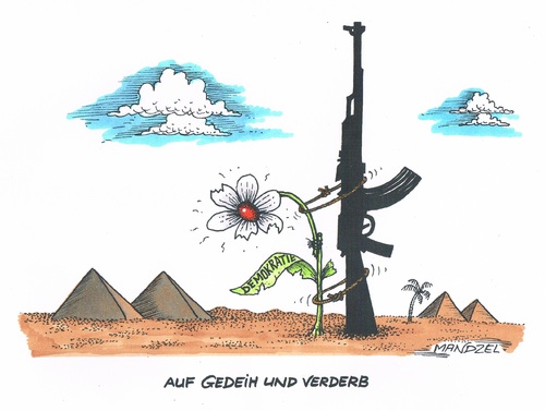 Cartoon: Nicht die Hoffnung aufgeben (medium) by mandzel tagged ägypten,demokratie,militär,maschinengewehr,ägypten,demokratie,militär,maschinengewehr