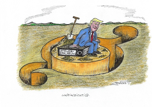 Cartoon: Trump gewährt keine Einsicht (medium) by mandzel tagged trump,usa,steuererklärung,republikaner,demokraten,trump,usa,steuererklärung,republikaner,demokraten