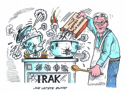 Cartoon: Waffen für den Irak (medium) by mandzel tagged irak,steinmeier,waffenlieferungen,krieg,is,irak,steinmeier,waffenlieferungen,krieg,is