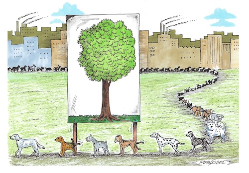 Cartoon: Wenn es keine Bäume mehr gibt... (medium) by mandzel tagged baum,wald,deutschland,umwelt,natursterben,klima,baum,wald,deutschland,umwelt,natursterben,klima