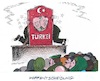 Cartoon: Stichwahl in der Türkei (small) by mandzel tagged türkei,wahl,präsident,richtungsentscheidung