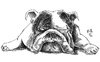 Cartoon: eskiz-sketch (small) by emre yilmaz tagged eskiz,sketch,dog,bulldog