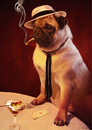 Cartoon: Bella Capone (small) by fantasio tagged poker dog pug gambling cards game playing animal anthro fur illustration mafia al capone illu cigar smoking