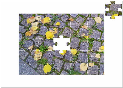 Cartoon: HERBSTPUZZLE (medium) by lesemaus tagged herbst,puzzle