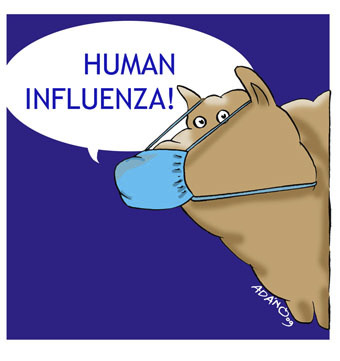 Cartoon: human influenza (medium) by adancartoons tagged virus,h1n1