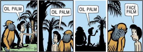 Cartoon: Oil palm face palm (medium) by sinann tagged orangutan,oil,palm,face