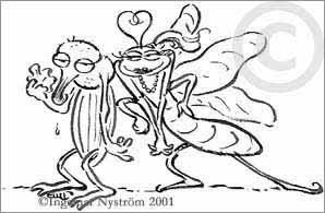 Cartoon: Lovebug (medium) by Ingemar tagged bugs,love,valentines,day,spring,liebe,