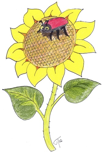 Cartoon: Sonnenblume (medium) by gothiel tagged sunflower,sonnenblume,blume,flower,blüte,käfer,glotzt,beetle