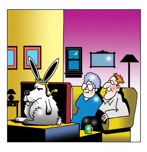 Cartoon: bunny tv (medium) by toons tagged tv,television,pay,rabbits,entertainment,loungeroom,animals,receivers,antenna