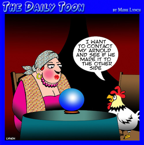 Cartoon: Chicken crosses over (medium) by toons tagged chicken,crosses,the,road,fortune,teller,medium,other,side,afterlife,chickens,chicken,crosses,the,road,fortune,teller,medium,other,side,afterlife,chickens